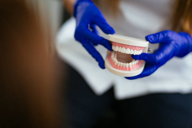 Trusted Leakesville, MS Holistic Dental Care Services Experts